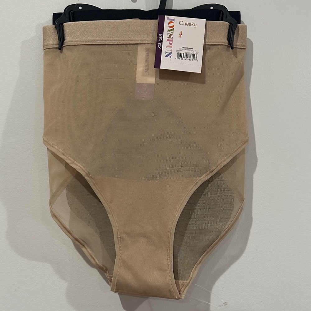 Joyspun Women's Space and Mesh Cheeky Panties, 2-Pack Size XXL